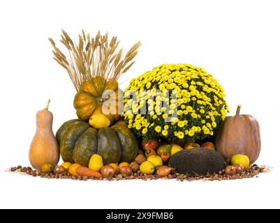 autumn still life in yellow tones isolated on a white background Stock Photo