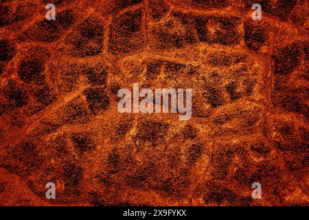 orange texture with cracks and saturated color Stock Photo