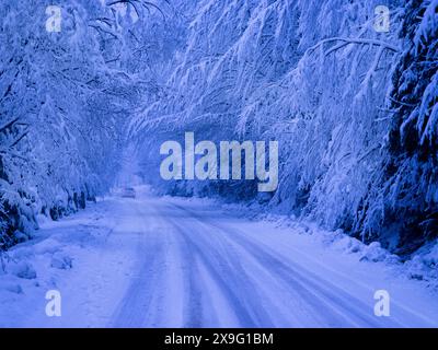 car driving on the road during a heavy snowfall Stock Photo