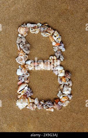 The letter T of the English alphabet, a letter made of seashells on the ...