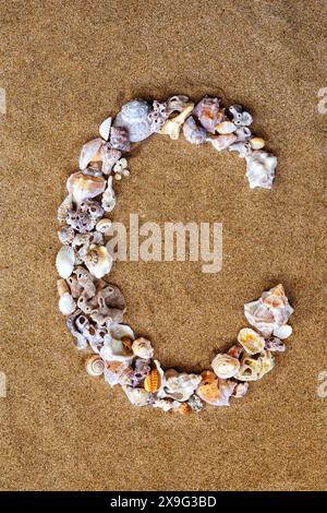 The letter T of the English alphabet, a letter made of seashells on the ...