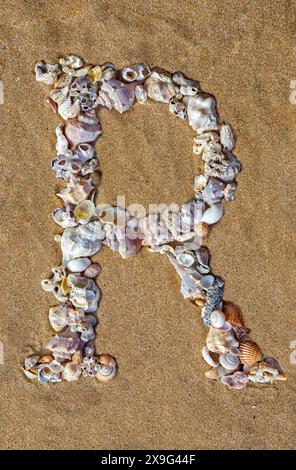 Shell Letter Type The letter T of the English alphabet, a letter made of seashells on the ...
