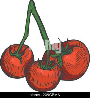 Red tomato bunch line drawing isolated on white background. Stock Vector
