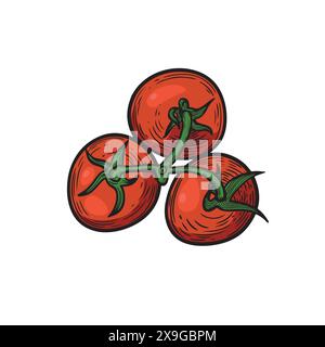 Top view red tomatoes bunch line drawing vector illustration. Stock Vector