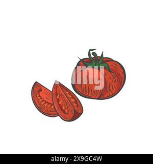 Red tomato and slices line drawing isolated on white background. Stock Vector