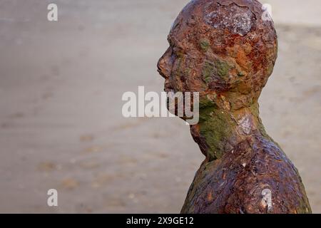 Close up of the weathered and rusting head of an Antony Gormley iron man at Crosby Beach, near Liverpool, Merseyside, UK on 21 May 2024 Stock Photo