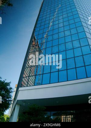 View side of glass multi-story tall building with a construction crane reflecting.  Blue sky, palm tree on a sunny day. No people and room for copy. Stock Photo