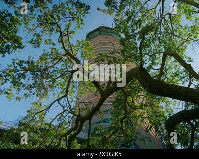 View up through green trees in foreground to multi-story parking garage, building and cranes under construction. Blue sky and fencing. No people Stock Photo