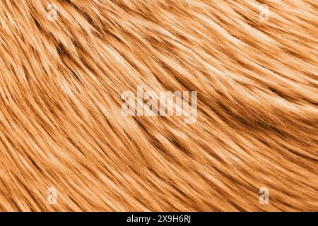 Texture of orange faux fur as background, closeup Stock Photo