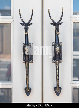 Door handles in the form of deer with antlers on the entrance doors of the old commonwealth Bank Building in Tenterfield, new south wales, australia Stock Photo