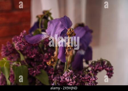Withered bouquet of lilac and iris flowers close up Stock Photo