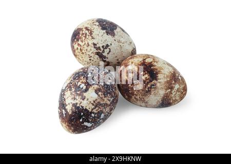 Quail eggs close up isolated on white background Stock Photo