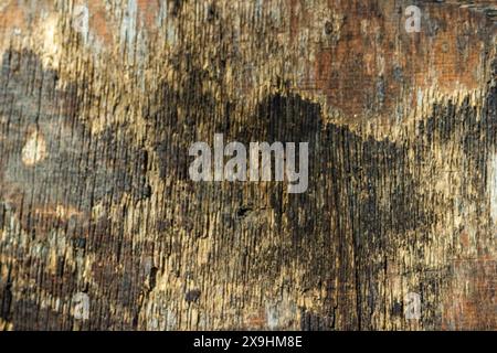 old wood texture background Stock Photo