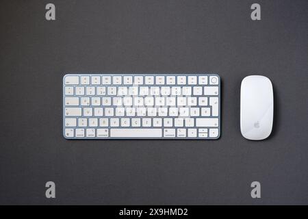 Antalya, Turkey - April 23, 2024: Apple magic keyboard and magic mouse on dark gray background Stock Photo