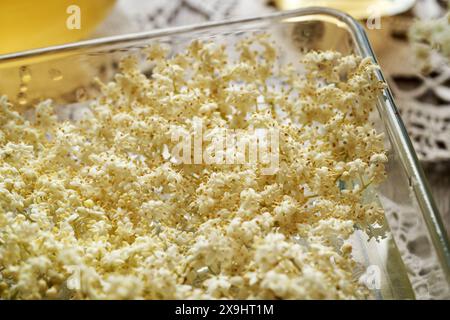 Preparation of herbal syrup by macerating fresh elderberry flowers in water, close up Stock Photo