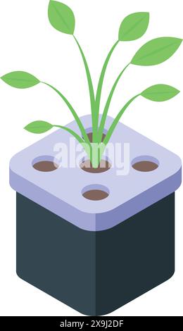 Isometric hydroponic plant illustration with vector graphic technology depicting sustainable soilless farming system in modern ecofriendly agriculture Stock Vector