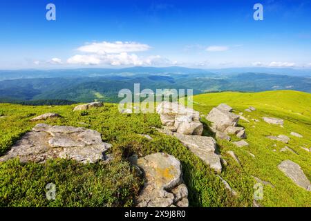 alpine landscape of ukrainian carpathians in summer. stones and boulders on the grassy meadow. scenery on top of the mountain smooth of trancarpathia Stock Photo