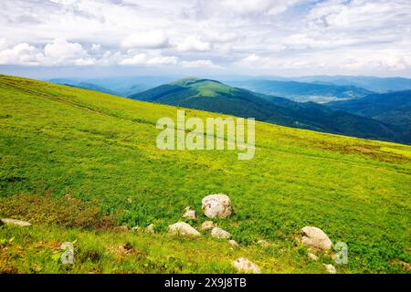 trail path through grassy hillside with stones. mountainous carpathian landscape in summer. wonderful distant landscape with rolling hills and valleys Stock Photo