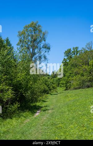 Warburg Nature Reserve, Henley-on-Thames, Oxfordshire, England, UK, GB. Stock Photo