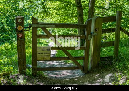 Warburg Nature Reserve, Henley-on-Thames, Oxfordshire, England, UK, GB. Stock Photo