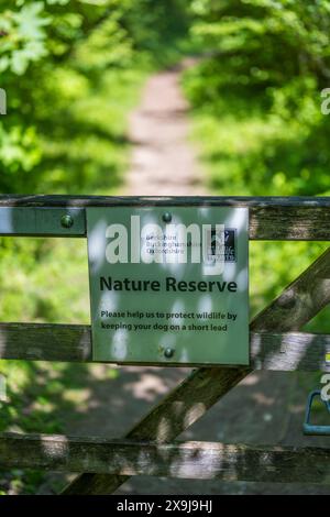 Warburg Nature Reserve, Henley-on-Thames, Oxfordshire, England, UK, GB. Stock Photo