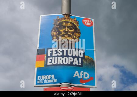 AfD, Wahlplakat zur Europawahl 2024, Berlin, Deutschland Stock Photo