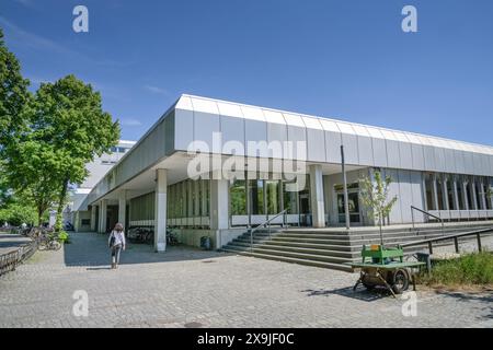 Silberlaube, Freie Universität, Habelschwerdter Allee, Dahlem, Steglitz-Zehlendorf, Berlin, Deutschland Stock Photo