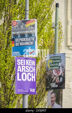 Volt, AfD, Die Grünen, Wahlplakate zur Europawahl 2024, Berlin, Deutschland Stock Photo