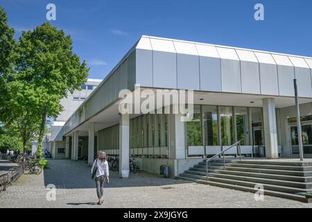 Silberlaube, Freie Universität, Habelschwerdter Allee, Dahlem, Steglitz-Zehlendorf, Berlin, Deutschland Stock Photo