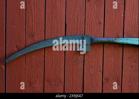 old rusty garden saw for branches on a red barn wall Stock Photo