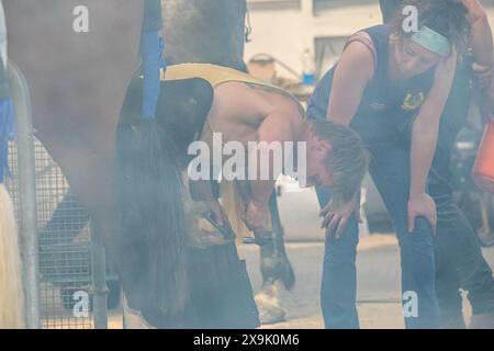 SHEPTON MALLET, SOMERSET, UK. 1st June, 2024,  close up and detail shots Farriers making horseshoes in forges and fitting them to horses in the  apprentice class shoeing at the Royal Bath and West Show 2024. Credit John Rose/Alamy Live News Stock Photo