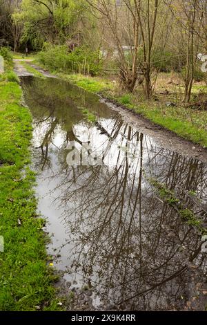 An afternoon heavy rain storm created a large puddle that fills a low area in a gravel road in a rural countryside community in West Virginia, USA. Stock Photo