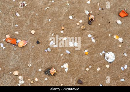 natural sea colored shells and pebbles on the seashore close-up top view. summer background Stock Photo