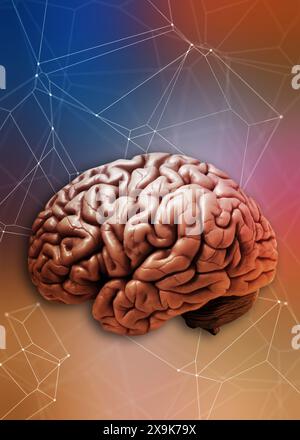 human brain and neural connections concept Stock Photo