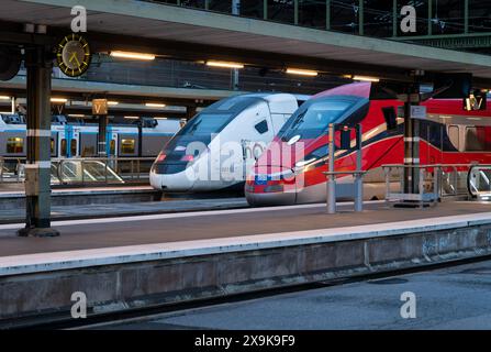 Front sections of two TGV trains parked at platforms in the Gare de Lyon Stock Photo