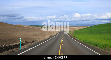 Rural road through Eastern Washigton farmland with brown and green fields in panorama Stock Photo