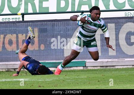 Treviso, Italy. 01st June, 2024. Images of the URC game between BENETTON RUGBY and Edinburgh Rugby at Monigo Stadium, Italy on June 1, 2024 during Benetton Rugby vs Edinburgh Rugby, United Rugby Championship match in Treviso, Italy, June 01 2024 Credit: Independent Photo Agency/Alamy Live News Stock Photo