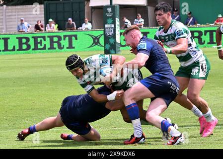 Treviso, Italy. 01st June, 2024. Images of the URC game between BENETTON RUGBY and Edinburgh Rugby at Monigo Stadium, Italy on June 1, 2024 during Benetton Rugby vs Edinburgh Rugby, United Rugby Championship match in Treviso, Italy, June 01 2024 Credit: Independent Photo Agency/Alamy Live News Stock Photo