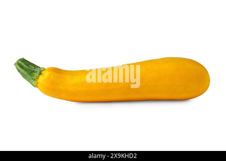Fresh ripe yellow organic zucchini or courgettes isolated on white background. One raw vegetable marrow, healthy food, ingredient, agriculture. Stock Photo
