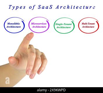 Four Types of SaaS Architecture Stock Photo