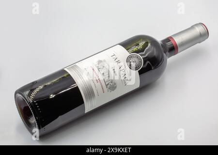 Kyiv, Ukraine - April 27, 2024: Studio shoot of Tarapaca Leon Cabernet Sauvignon Chilean red dry wine bottle closeup against white background. Stock Photo