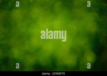 Horizontal shot of an out of focus bright green background. Stock Photo