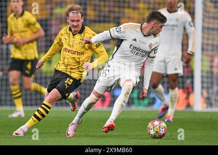 London, UK. 01st June, 2024. Julian Brandt (19) of Dortmund defending on Federico Valverde (15) of Real Madrid during a soccer game between German Borussia Dortmund and Spanish Real Madrid CF in the UEFA Champions League Final of the 2023-24 season, on Saturday 1 June 2024 in London, United Kingdom . Credit: sportpix/Alamy Live News Stock Photo