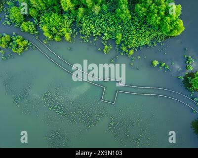 An aerial perspective showcasing a calm lake with a submerged boardwalk, surrounded by lush green foliage. Stock Photo