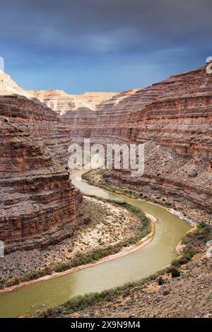 The San Juan River flowing through canyon viewed from the Honaker Trail, Bears Ears National Monument, Utah Stock Photo