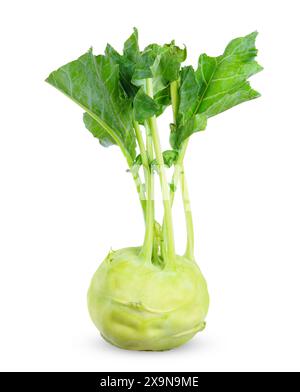 kohlabi isolated on white background. kohlabi clipping path Stock Photo