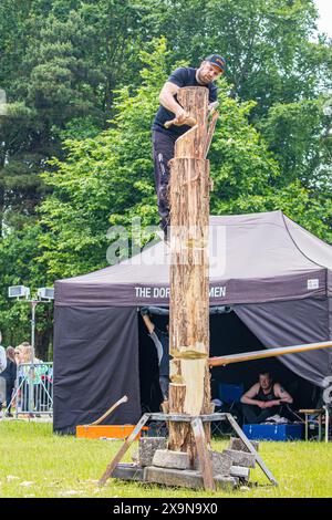 SHEPTON MALLET, SOMERSET, UK. 1st June, 2024,   Dorset Axemen displaying their skills to the crowds at the Royal Bath and West Show 2024. Credit John Rose/Alamy Live News Stock Photo