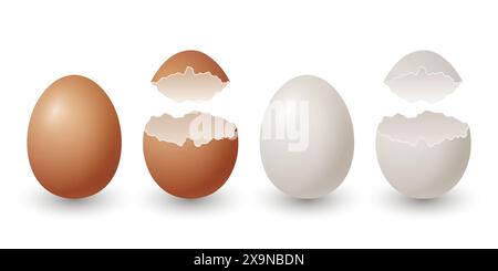 Vector 3d Realistic Brown and White Chicken Eggs. Broken Chicken Egg, Cracked Two Parts, Opened Crack Raw Chicken Egg Closeup Isolated. Vector Eggs Stock Vector