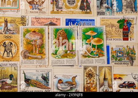 A collection of stamps featuring various animals and plants. The stamps are from different countries and have different designs Stock Photo