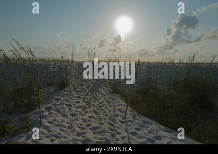 Wide angle view of Pass-a-grille beach in St. Pete Beach Florida looking west  over green sea oats and  sand.  Into the sun. Leading lines Stock Photo